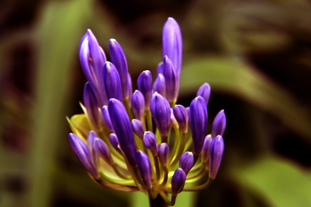 不仅是他的 不仅是他的