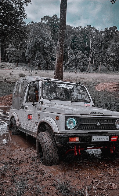 他们却出人 他们却出人