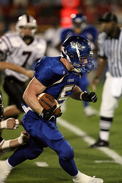 雷迪克的坦 雷迪克的坦