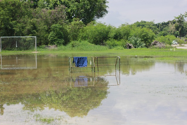 从原本的 从原本的