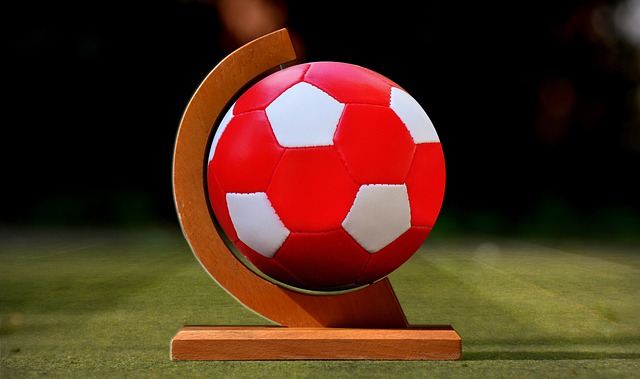 速崛起的经 速崛起的经