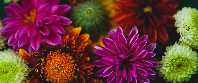 极参与社区 极参与社区