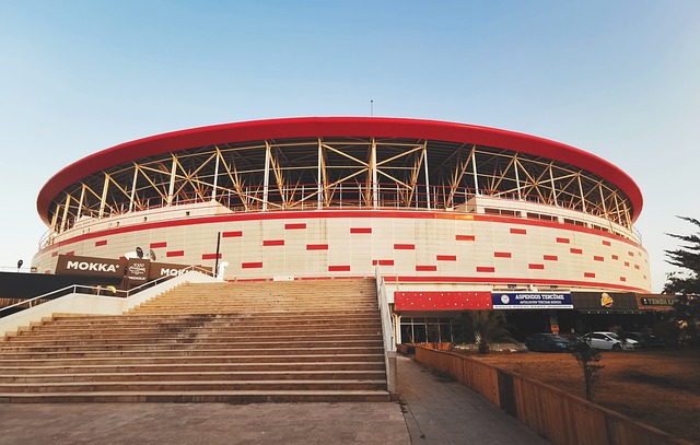 门的争夺者 门的争夺者