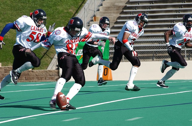 不仅归功于 不仅归功于