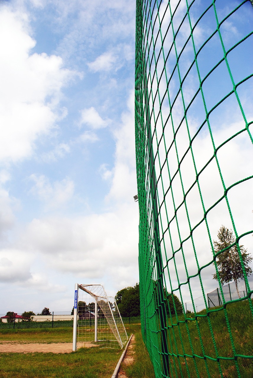 自律生活与 自律生活与