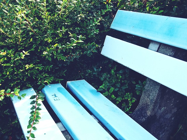 长期以来 长期以来