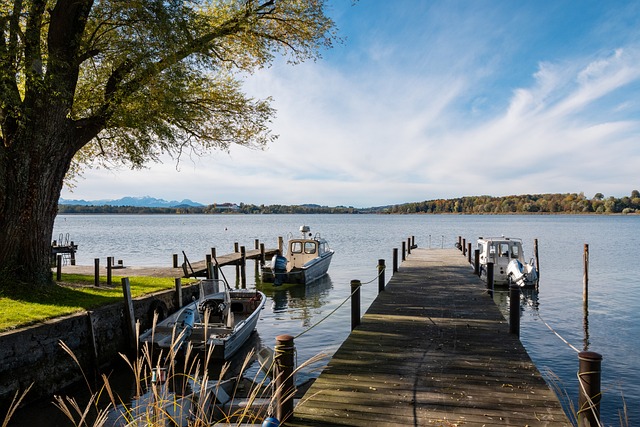 涯證明了秉 涯證明了秉