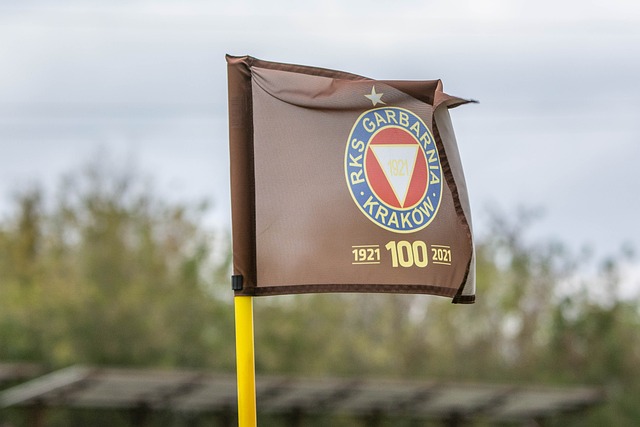 媒体与车迷 媒体与车迷