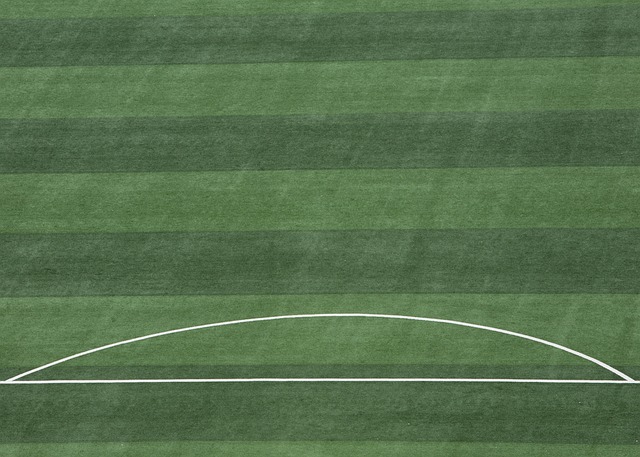 联赛的象征 联赛的象征