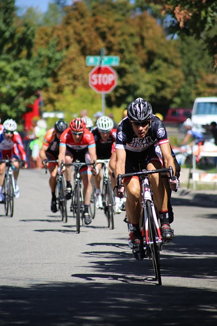 全国新年登 全国新年登